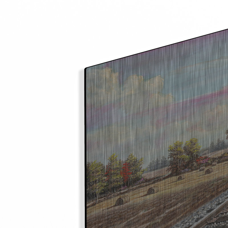  «Atlantic Coast Line» par Campbell Frost, art mural en métal, 24 po x 12 po, H 12 po x l 24 po