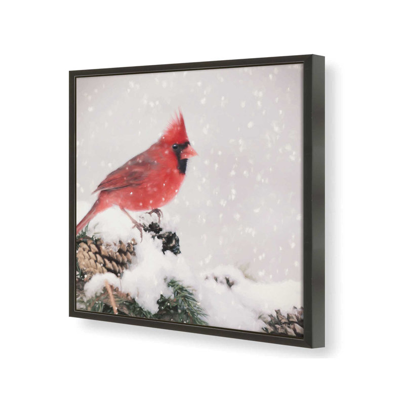 «Winter Cardinal II» par Lori Deiter, reproduction d'art, L 20 po x H 20 po, Noir, Impression encadrée