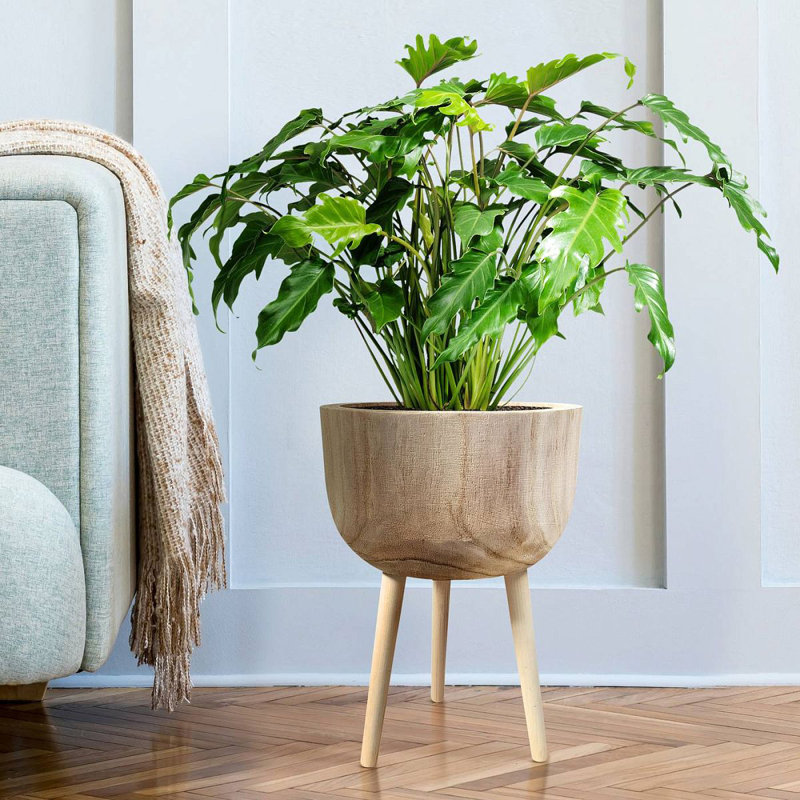 GAIA Tall Indoor Plant Pot Stand for House Plants with Waterproof Liner | Natural Wooden House Planter with Legs 