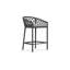 Amelia Patio Bar Stool with Cushion-553561271-552902679