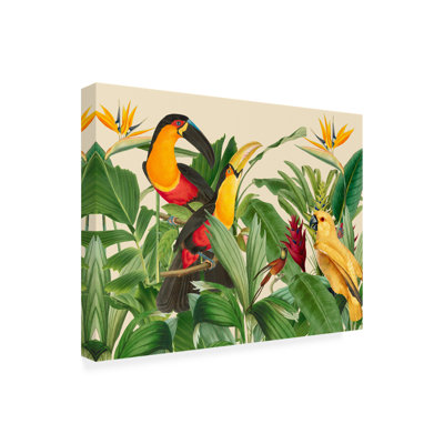 Rain Forest Bird Garden