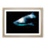 Shark in the Shadows - Picture Frame Graphic Art Print-55764613-55764614