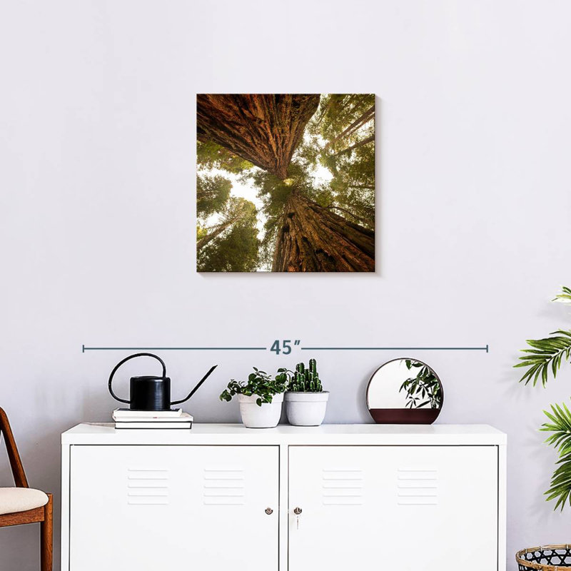 Alvord Towering Sequoia Trees, 20" H x 20" W