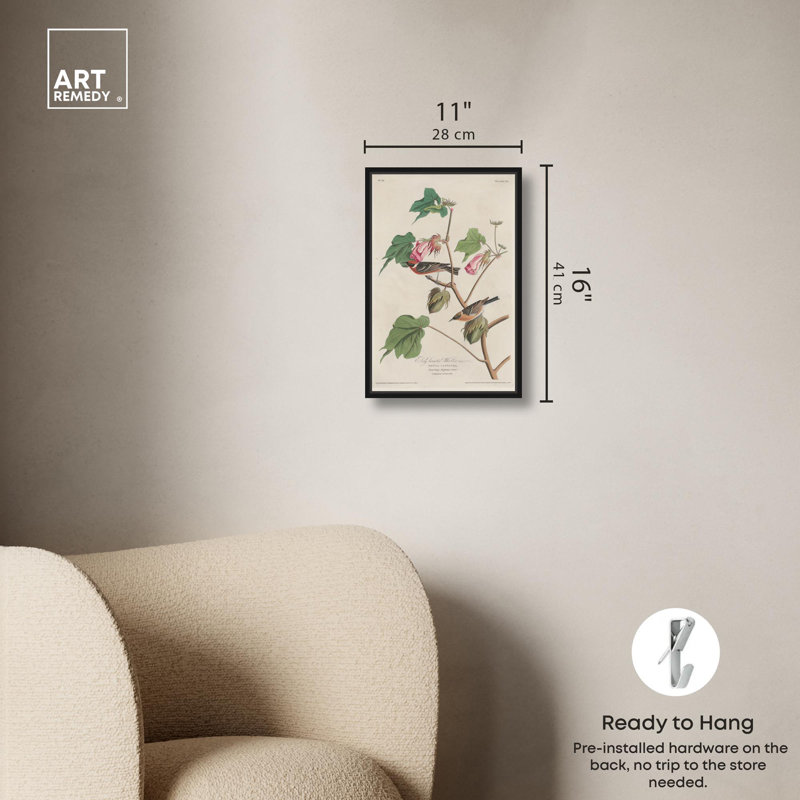 Art Remedy Botanical Prints Canvas, Warbler 1829, Black Floater Framed, 16" H x 11" W