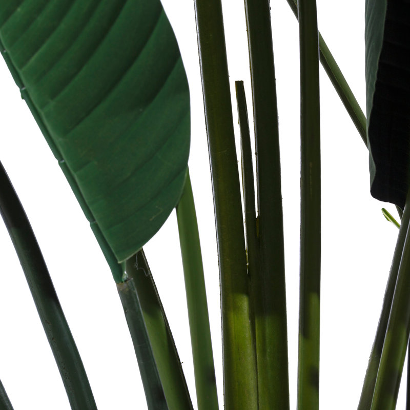 245cm Faux Plant in Pot