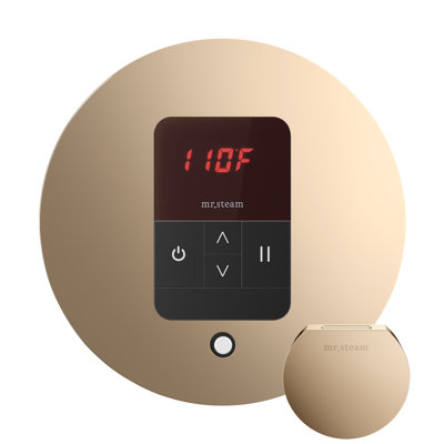 iTempo Round Steam Shower Control and Steamhead