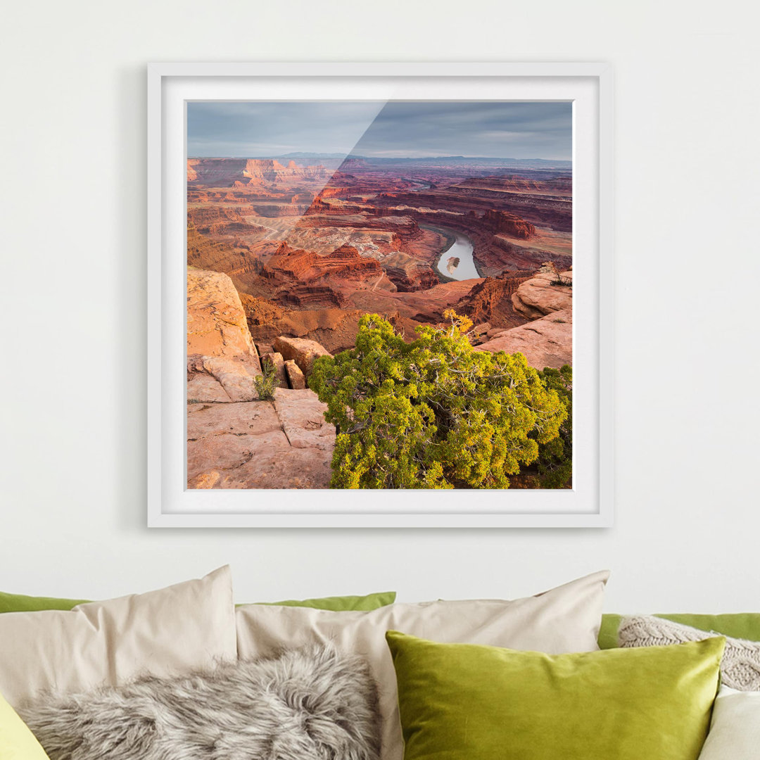 Gerahmtes Poster Dead Horse Point, Canyonlands Nationalpark