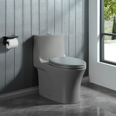 1.1/1.6 GPF Dual-Flush Elongated One-Piece Toilet with 17.32 in. Comfort Seat Height, Ceramic Glazed Surface(Soft Close Seat Included), 3 Colors Option