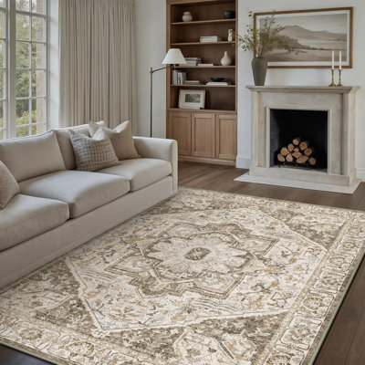 Oriental Area Rug