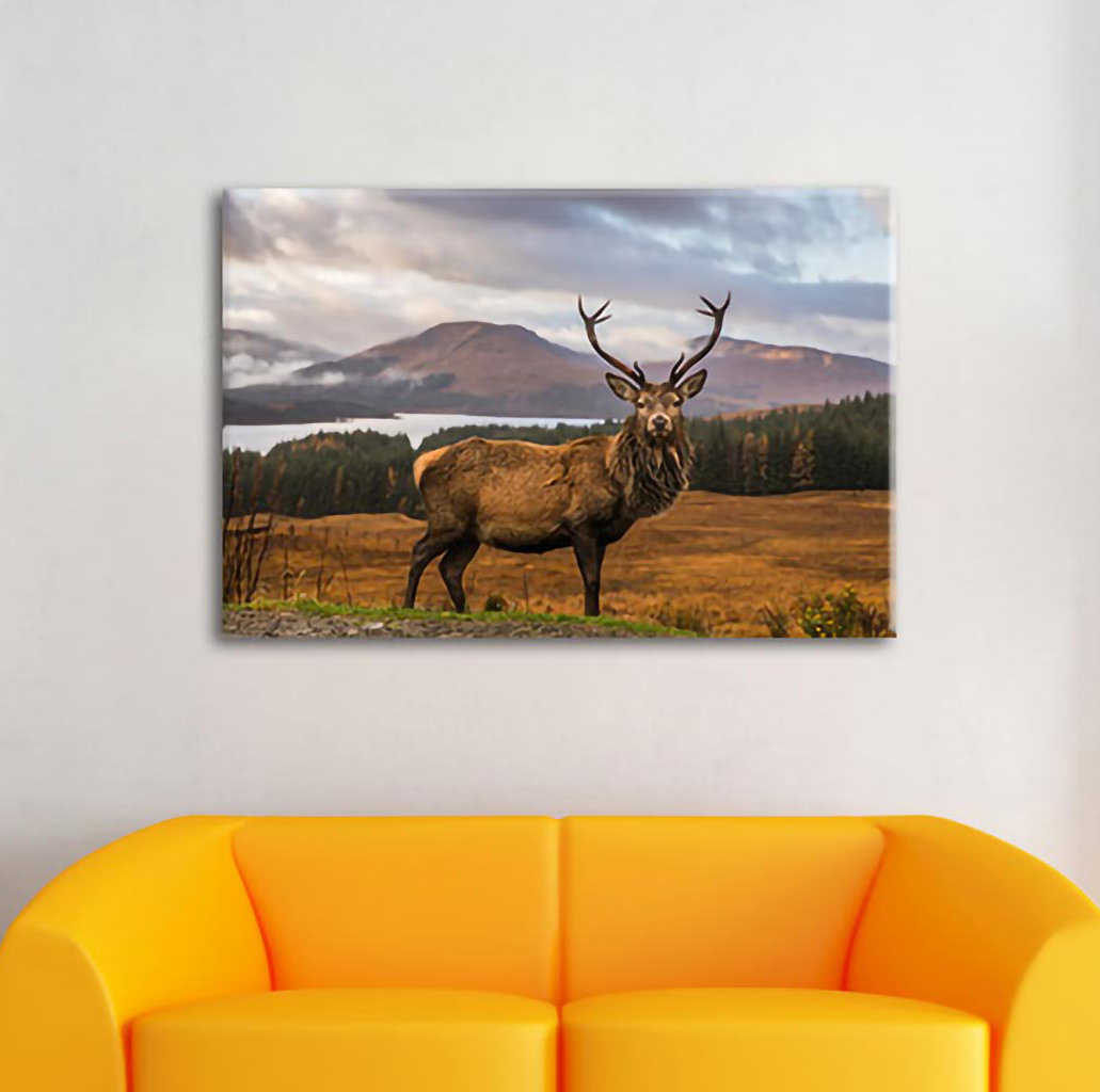 Leinwandbild Stag in Breathtaking Landscape