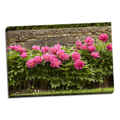 " Garden Peonies II " Print