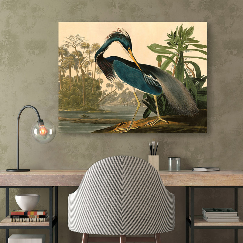 Louisiana Heron by John Audubon - No Frame Painting on Canvas, 50cm H  x 70cm W  x 4cm D
