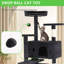 Tour pour arbre à chat Derrell-565261238-565261239