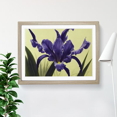 Cute Iris Flowers - Framed Print