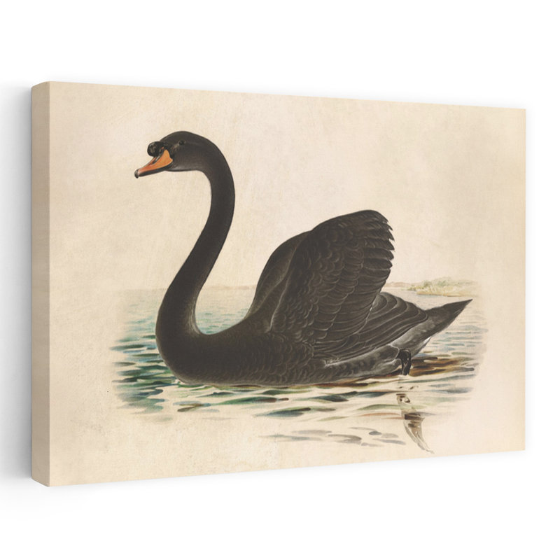 Cygne noir antique, art animalier contemporain, H 36 po x l 24 po