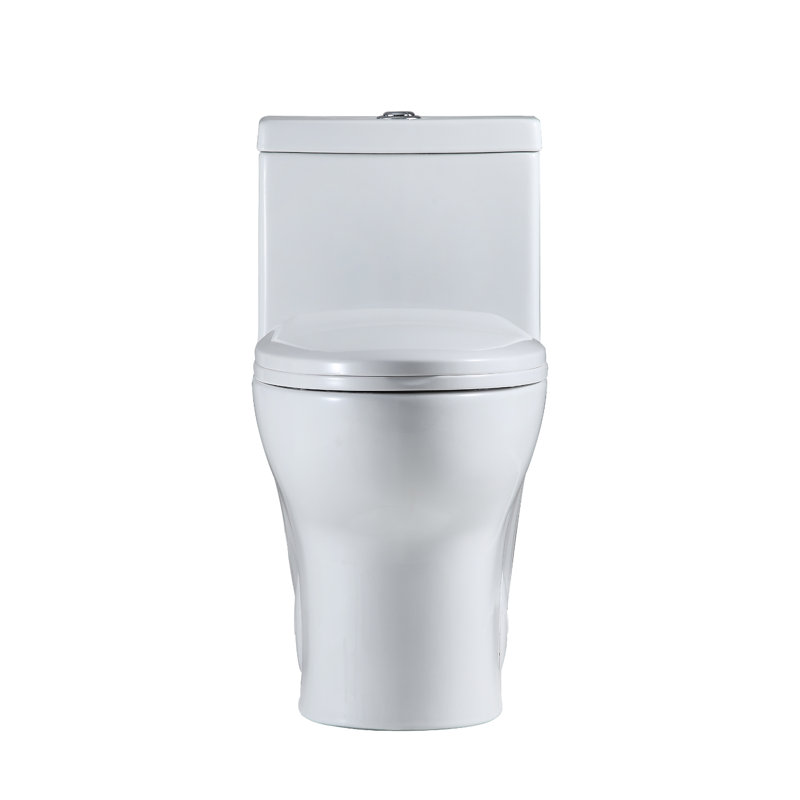 Toilette allongée une pièce Venezia 1,1 GPF (économe en eau) (siège inclus)
