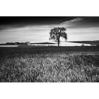 Field Texture 1 Piece Wrapped Canvas Wall Art