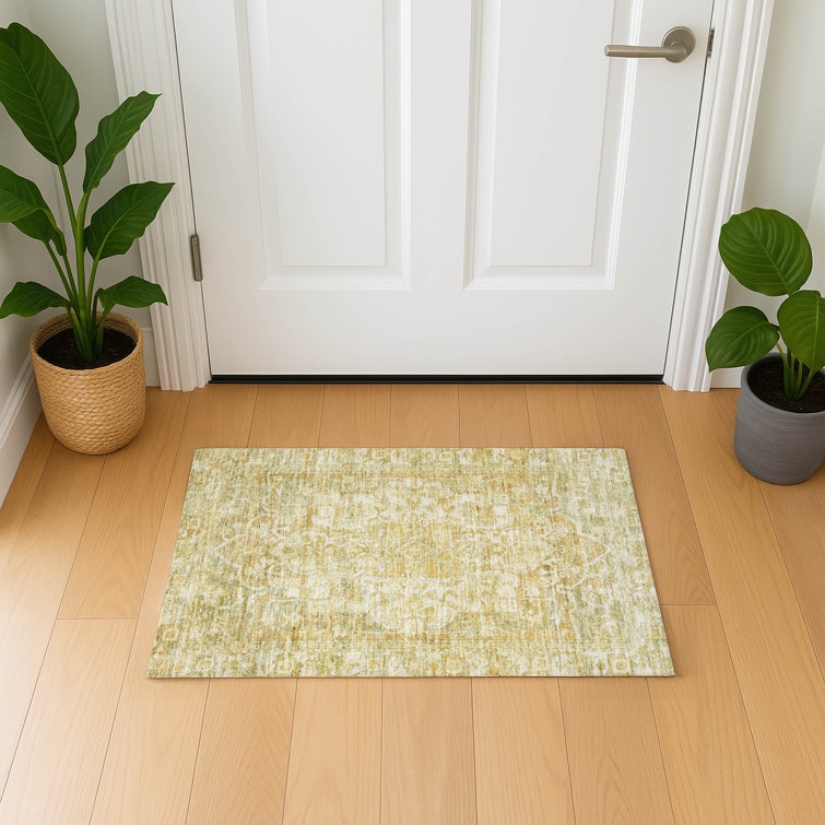 Premium Machine Washable Lucchesi AMF1728 Global Rug