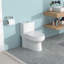 Toilette en céramique une pièce, siège brut à double chasse 1,1 / 1,6 po, siège à fermeture en douceur de 12 po, polypropylène, système de siphon à jet, carte 800G, teinture