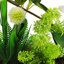 Artificial Arrangement in Planter