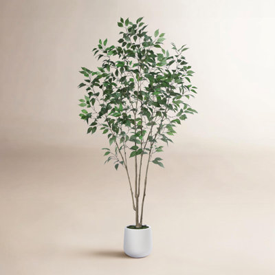 Agostino Faux Ficus Tree with Round White Planter, Pre Potted Faux Greenry Ficus Plant for Home Decor