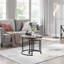 2 Piece Coffee Table Set Wood Nesting Table-18111832