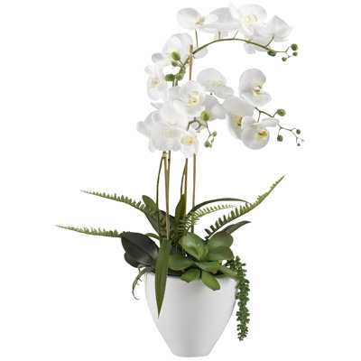 White Rochids - White Ceramic Bowl