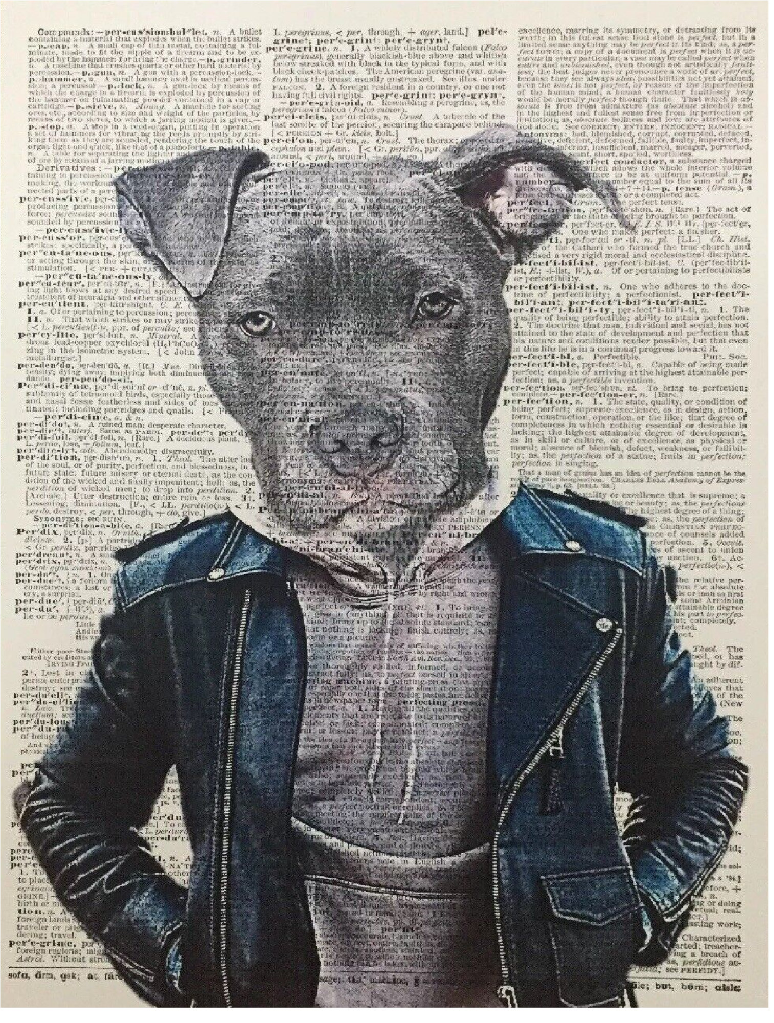 Staffy art hot sale