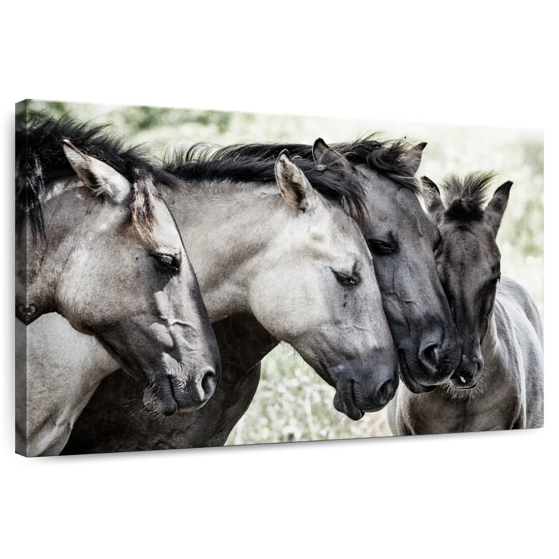 Van Den Four Konik Horses, H 8 po x l 12 po
