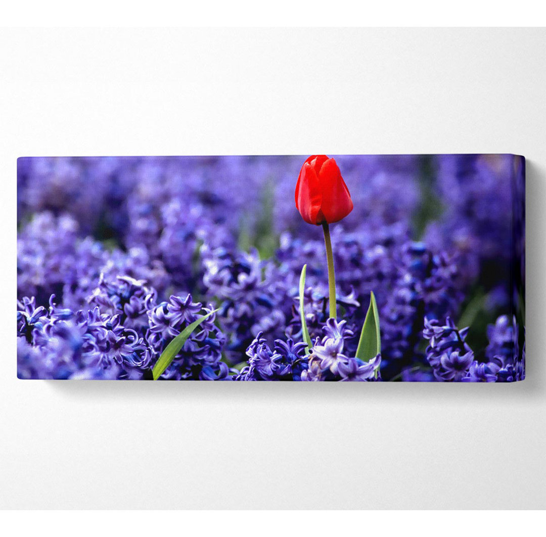 Rote Tulpe und Hyazinthen - Kunstdrucke auf Leinwand