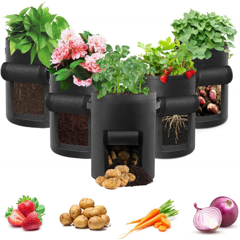 Pot Planter