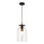 Luminaire suspendu simple à 1 lumière Delisa-358704087