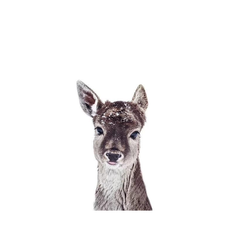 Little Fawn Fiona by Monika Strigel - Wrapped Canvas Painting, 66.04 cm H x 45.72 cm W x 3.175 cm D