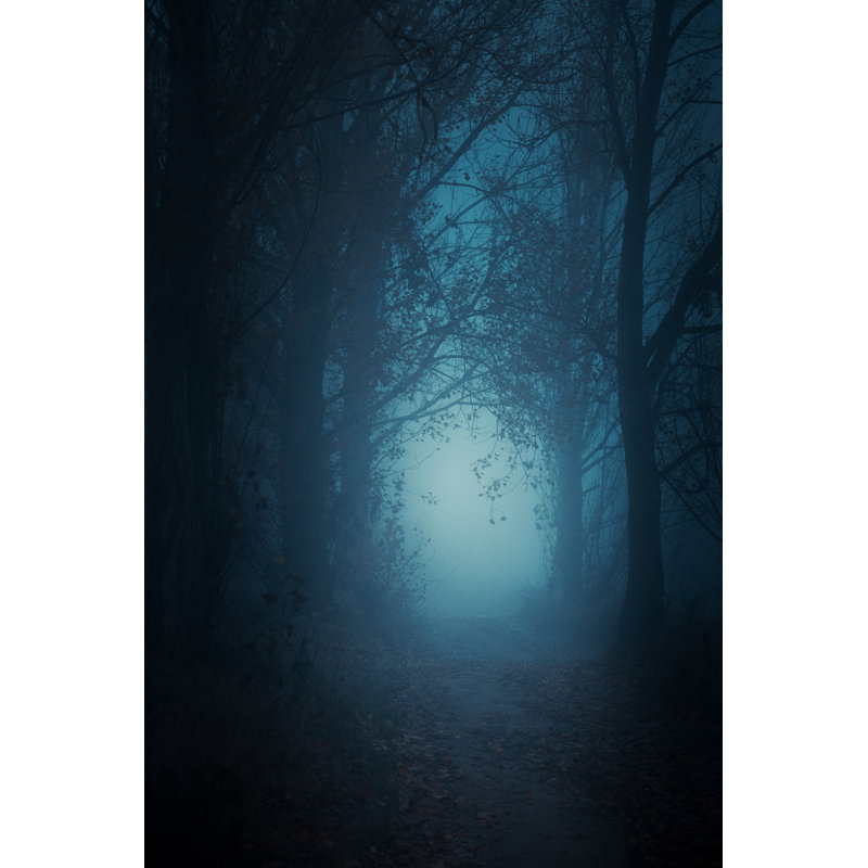 Mysterious Forest - Wrapped Canvas Print, 30cm H x 20cm W