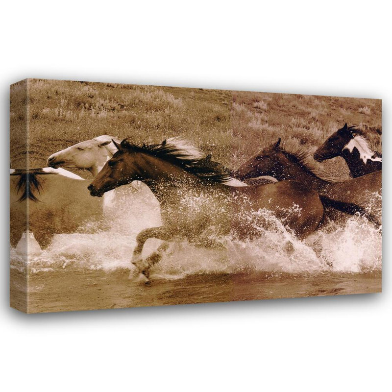 Horse River Race, H 16 po x l 24 po