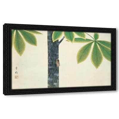 Cicada (1930)