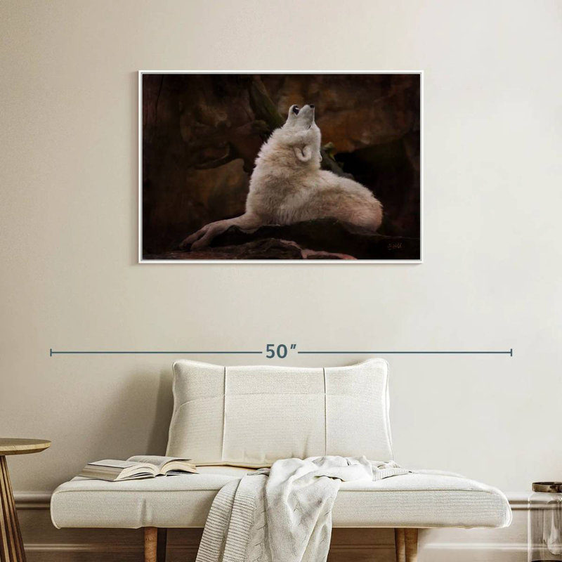 Loup blanc, Cadre flottant blanc, 37 po x 25 po