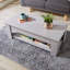 Alrun Coffee Table with Storage-569580564