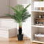 120cm Plant