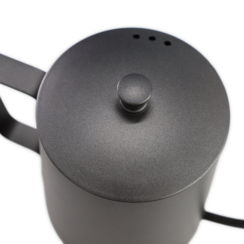 Mr. Coffee Gooseneck Kettle