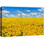 Tournesol «Vibrant Yellow Summer Sunflowers» sur-99543353