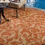 Tapis d'intérieur / extérieur Darri-1474175893
