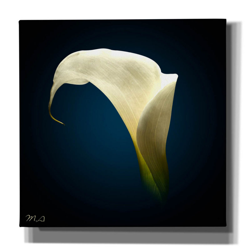 «Inner Glow» par Mark Ashkenazi, art mural sur toile, H 18 po x l 18 po x P 0,75 po
