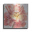 «Spring Meadow V» par Lisa Audit