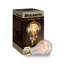 25 Watt (25 Watt Equivalent), A19 Incandescent, Dimmable Light Bulb, (2200K) E26/Medium (Standard) Base