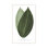 Green Trace 2 Print by Studio L57 Nouvelle