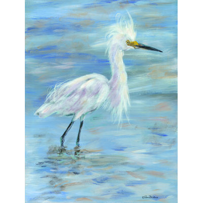 " Egret "