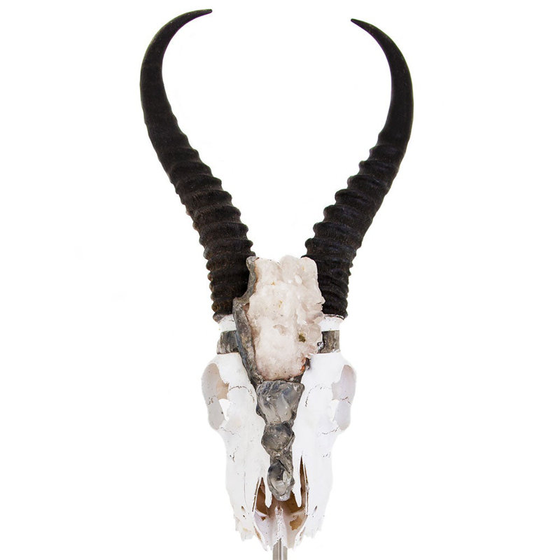 Colbee Springbok with Horns with Geode Mounted Bust