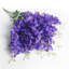 Tige de glycine suspendue-609558760