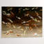 Schools Out IV Print by Chelsea Art Studio-25707061-25707062